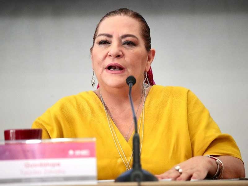 Confía Taddei en decisión de San Lázaro para presupuesto electoral 2024