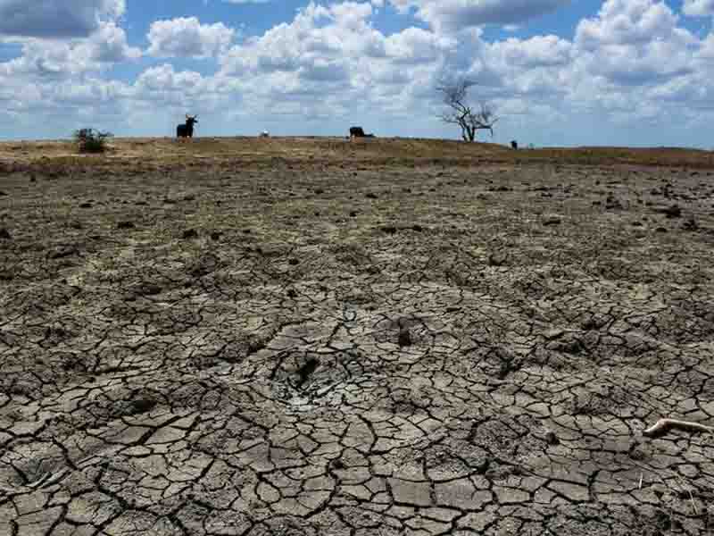 OMS alerta sobre graves efectos que tendrá el recorrido de ‘El Niño’ en 25 países del mundo