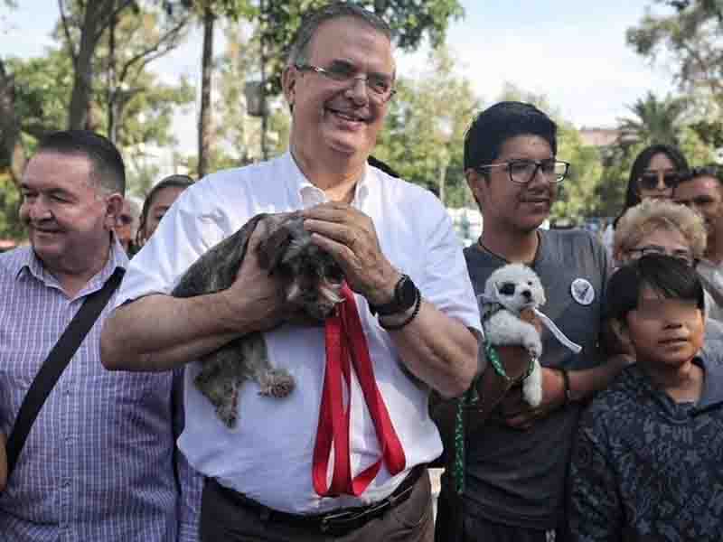 Encuesta tendrá valor de 75% para definir a candidato de Morena: Ebrard